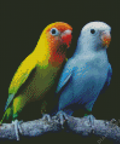 Lovebirds Diamond Painting