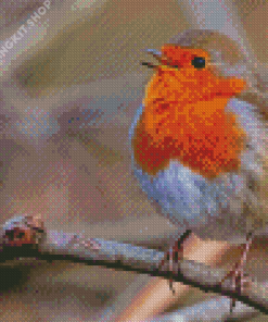 Cute Robin Diamond Painting